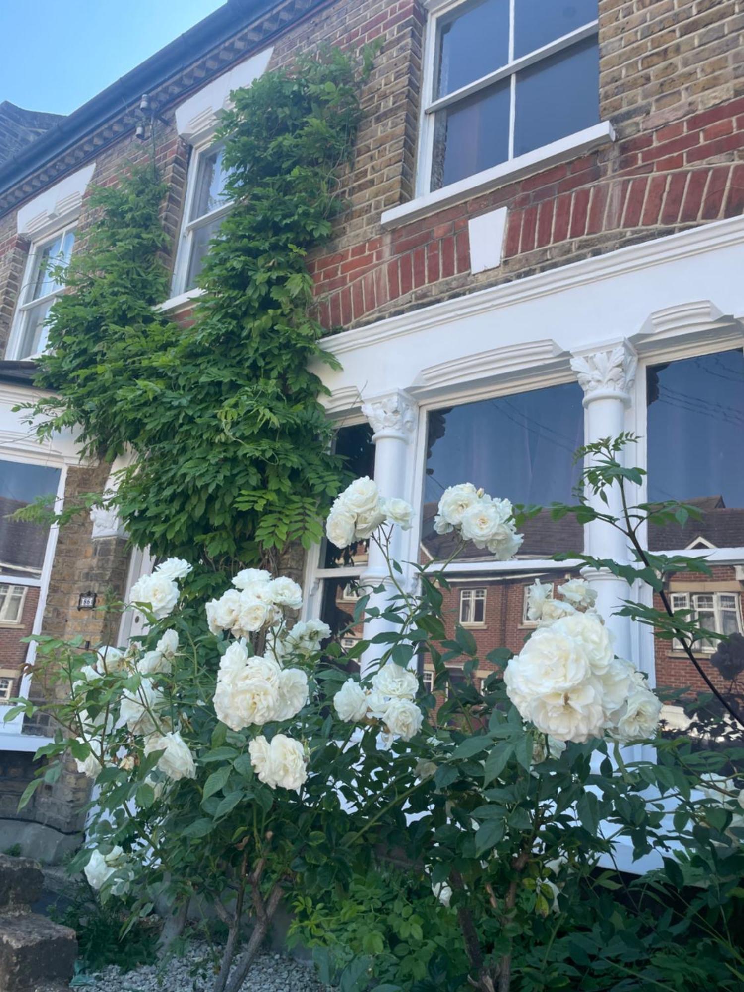 Traditional English 4 Bedroom Home In Greenwich Plumstead  Extérieur photo
